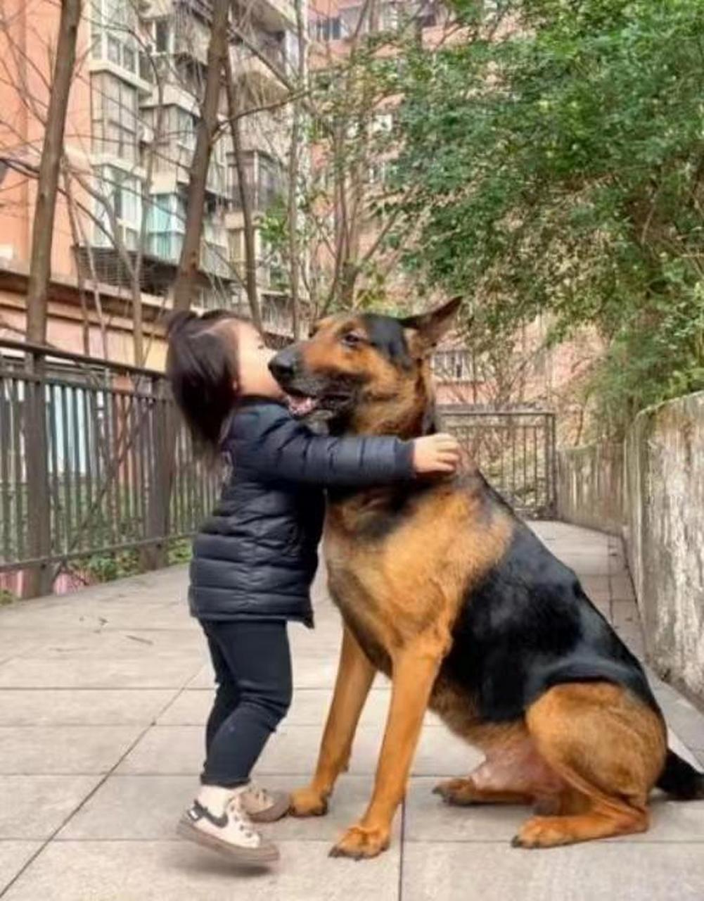 陪伴是最长青的告白