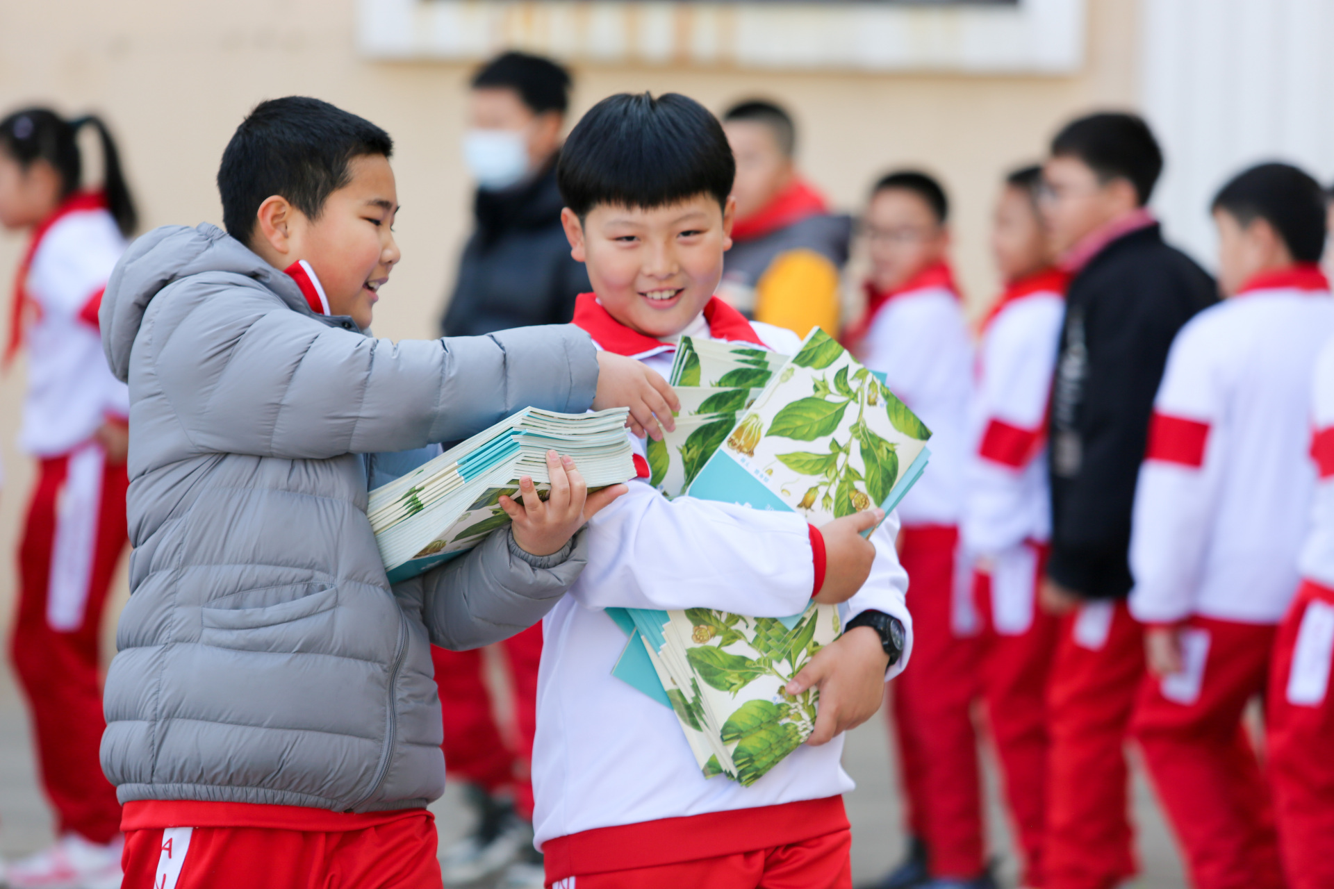 鞍山钢都小学图片