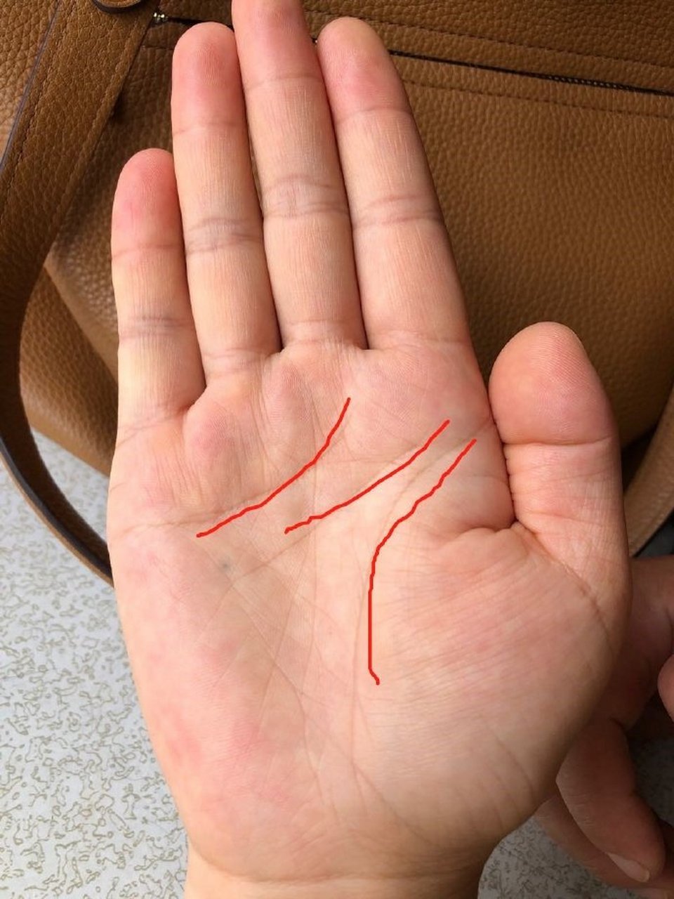 手相案例:  典型川字掌,个性独立自主,充满信心实行力,适应力强,也较