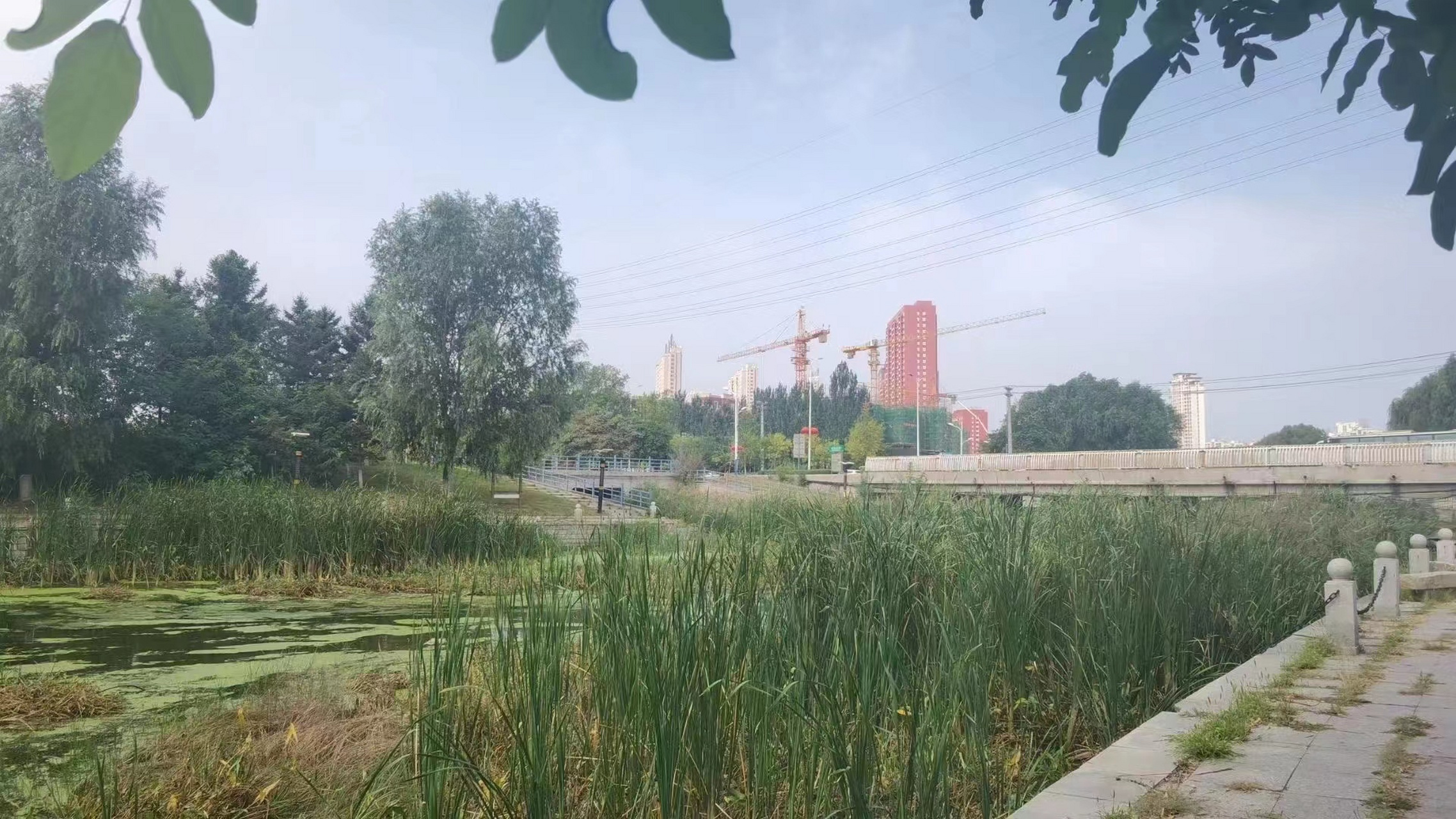 美好辽宁欢迎您# 鲅鱼圈 初秋二道河