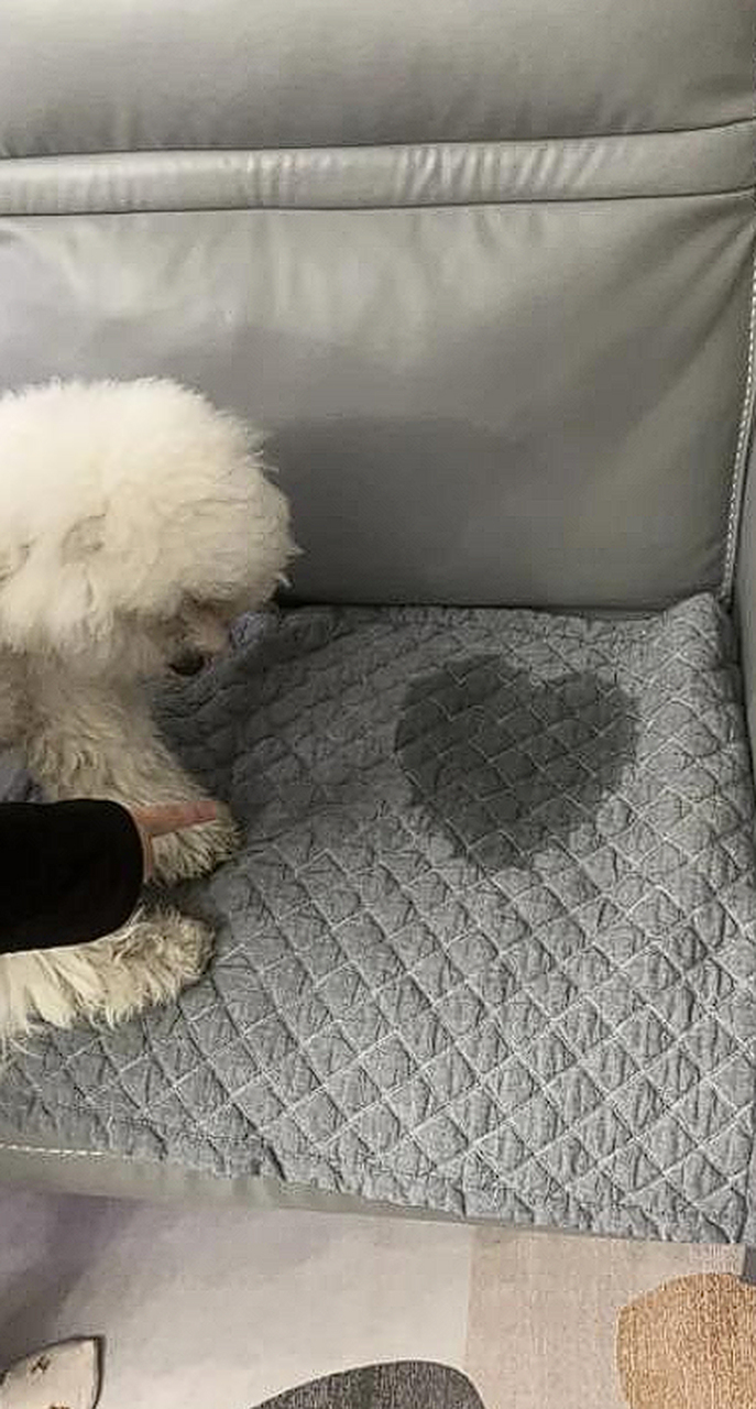 狗子:撒泡尿都是爱你的形状.