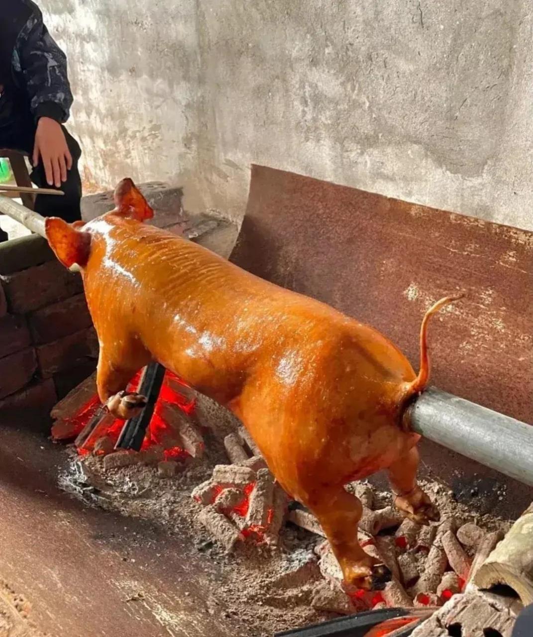 烤乳猪太残忍了,这么可爱的小猪,怎么对它们下得去手,太可怜了,它们