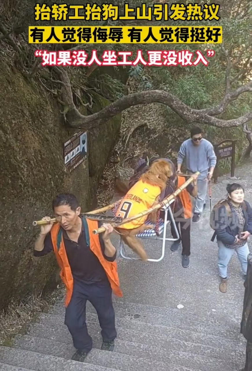 江西上饶三清山,有人拍下了一段轿夫抬狗上山的视频.