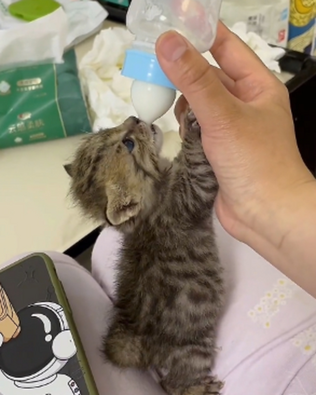 用奶瓶喝奶的小猫咪,好可爱呀.