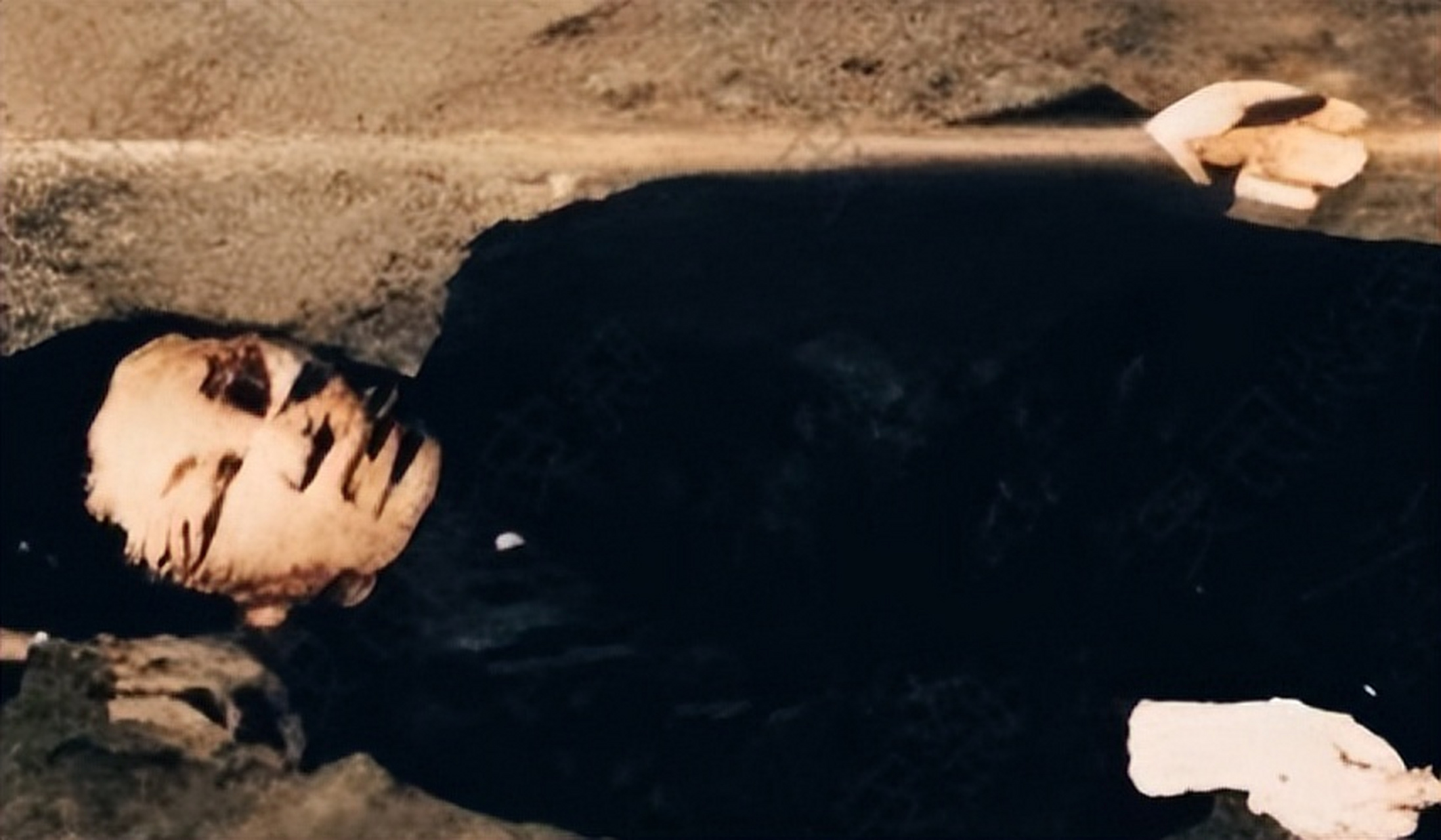 1925年12月,辽中县老达房乡,"奉天女杰"韩淑秀被张作霖还下令杀害.