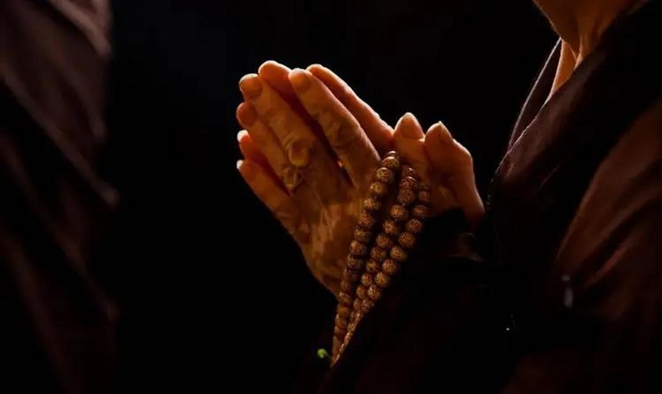 "这只狗狗看破红尘,竟然出家当了和尚,每天跟着方丈吃斋念佛,引来了