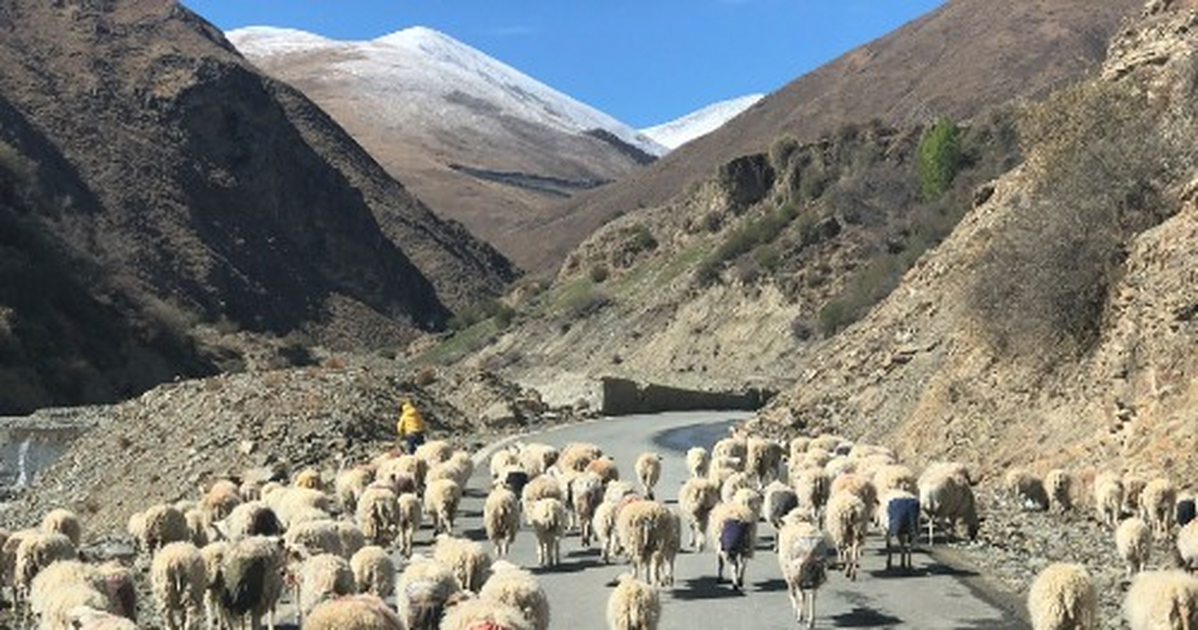 羊湖观景台海拔图片