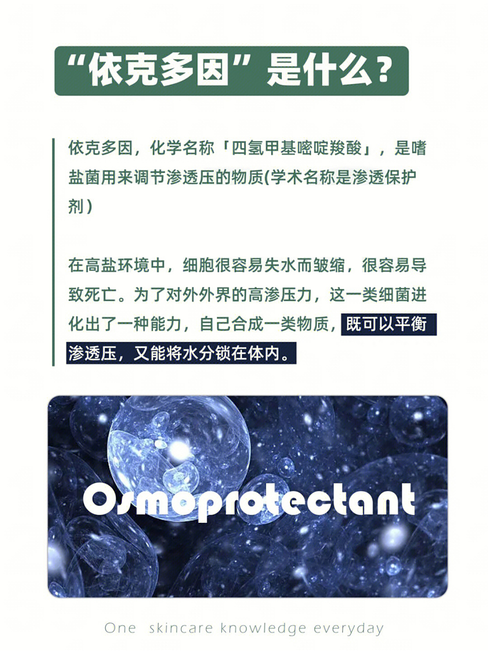 依克多因的功效 3.皮肤屏障的小盾牌 4.使用效果