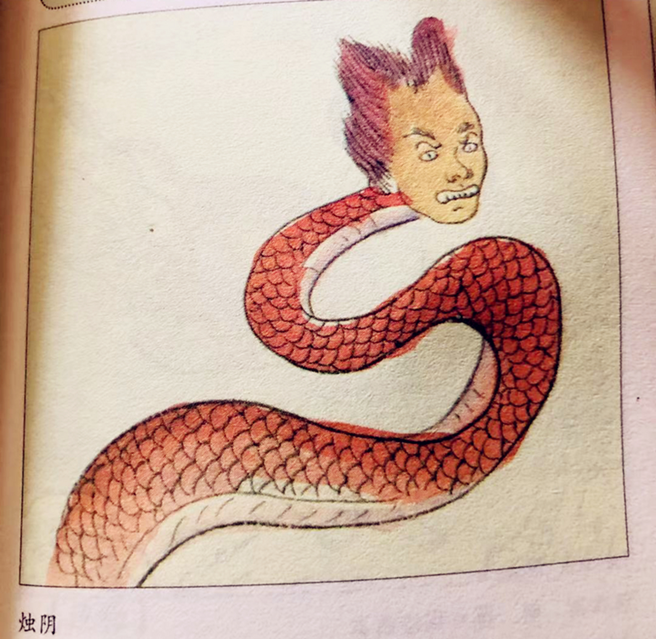 "蛇大成蟒,蟒大成蚺,蚺大成蛟,蛟大成龙".