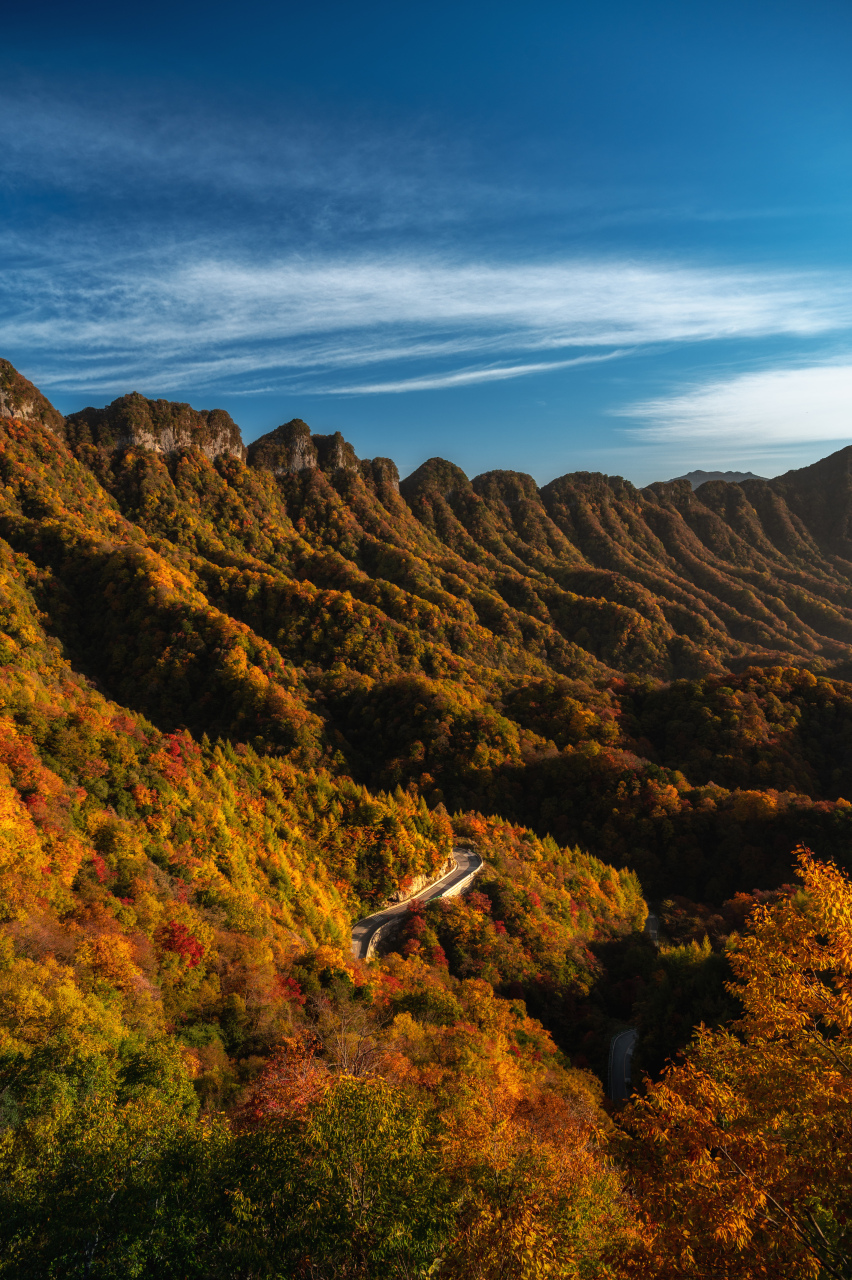 9493秋天的风景,红叶可以代表一种,在四川巴中光雾山,漫山的红叶