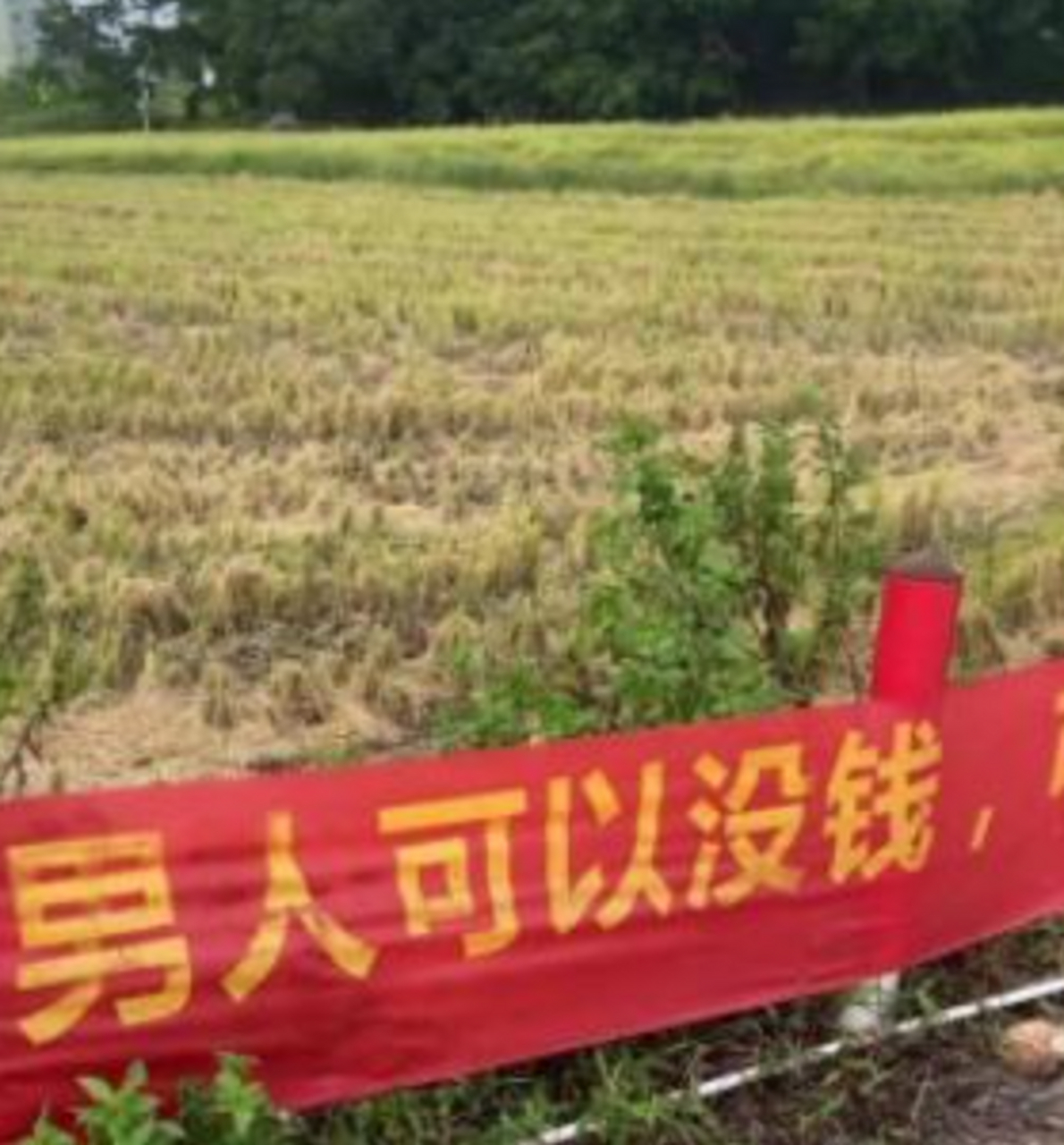 不帅可以,没钱怎么买鱼竿,没鱼竿怎么钓鱼?