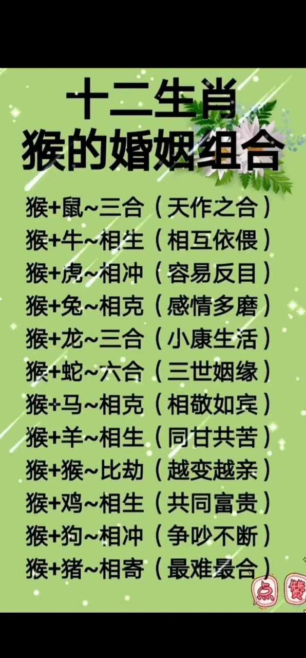 生肖兔男配生肖猴的运势(属兔的男配属猴的女好不好)