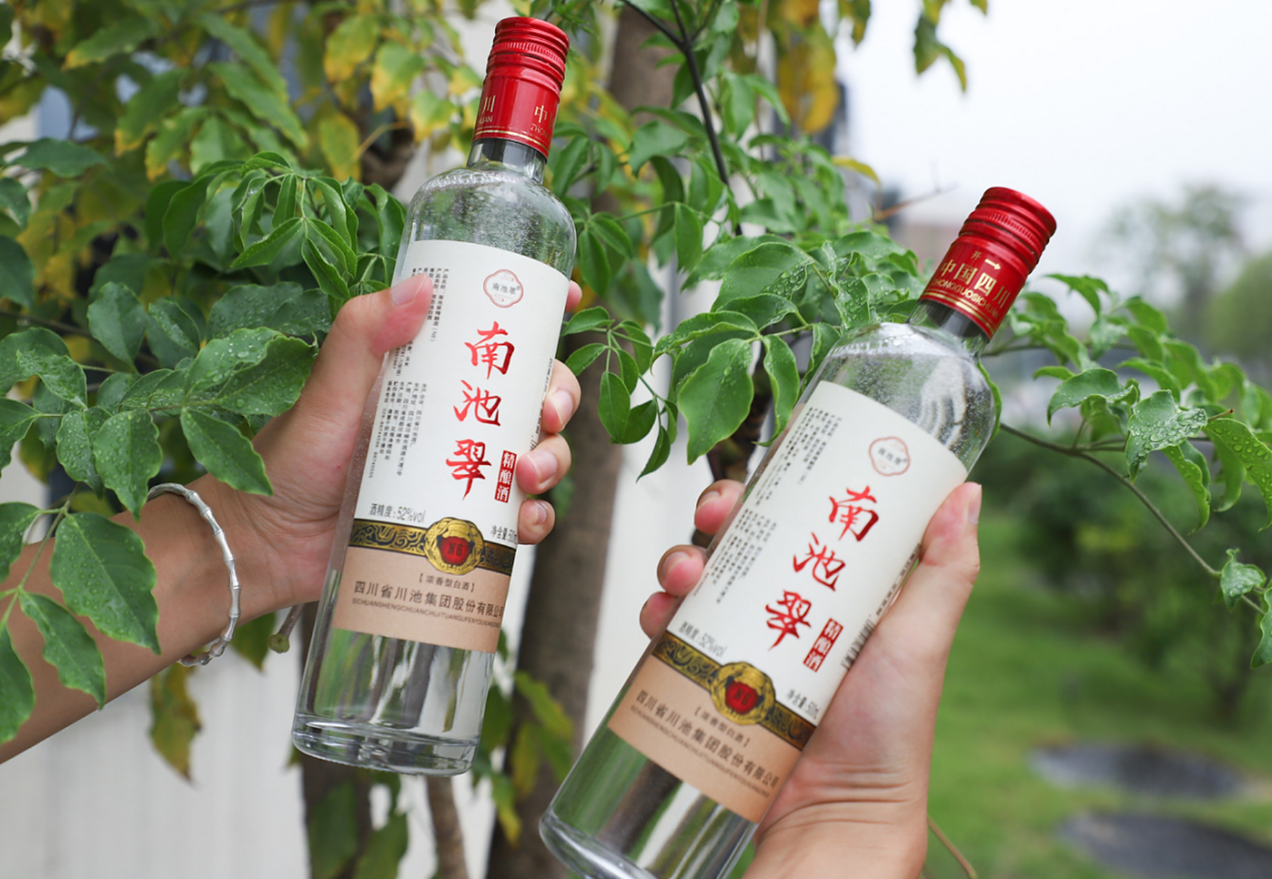 安徽池州,一张先生花2500元在酒行买了1瓶五粮液,在坐公交车回家路上