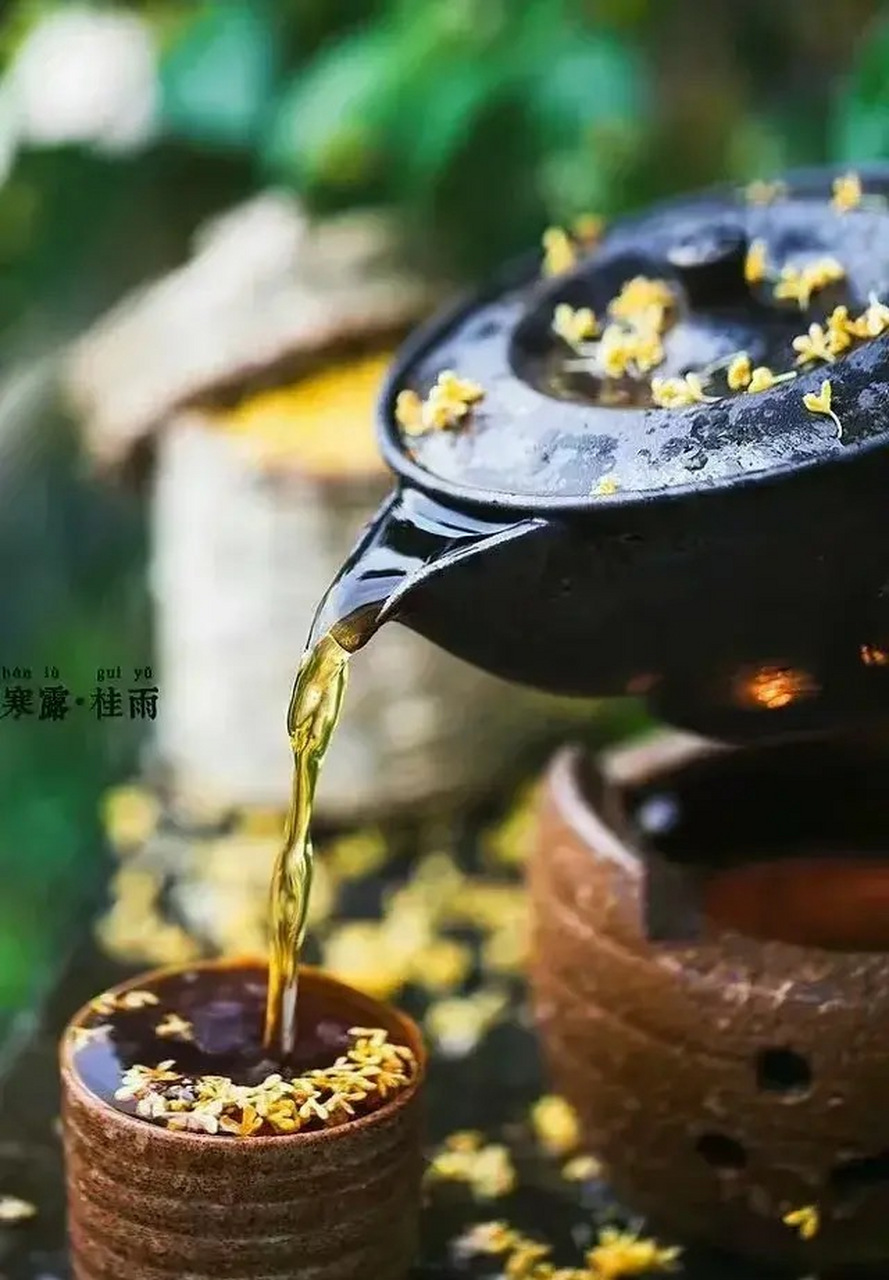 一句"秋安"里包含了多少牵挂与无奈,只有静下来的时候才会有感觉.