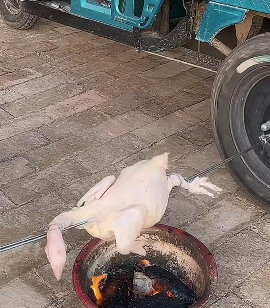 这样烤鸡还是第一次见,真有才! #趣图搞笑