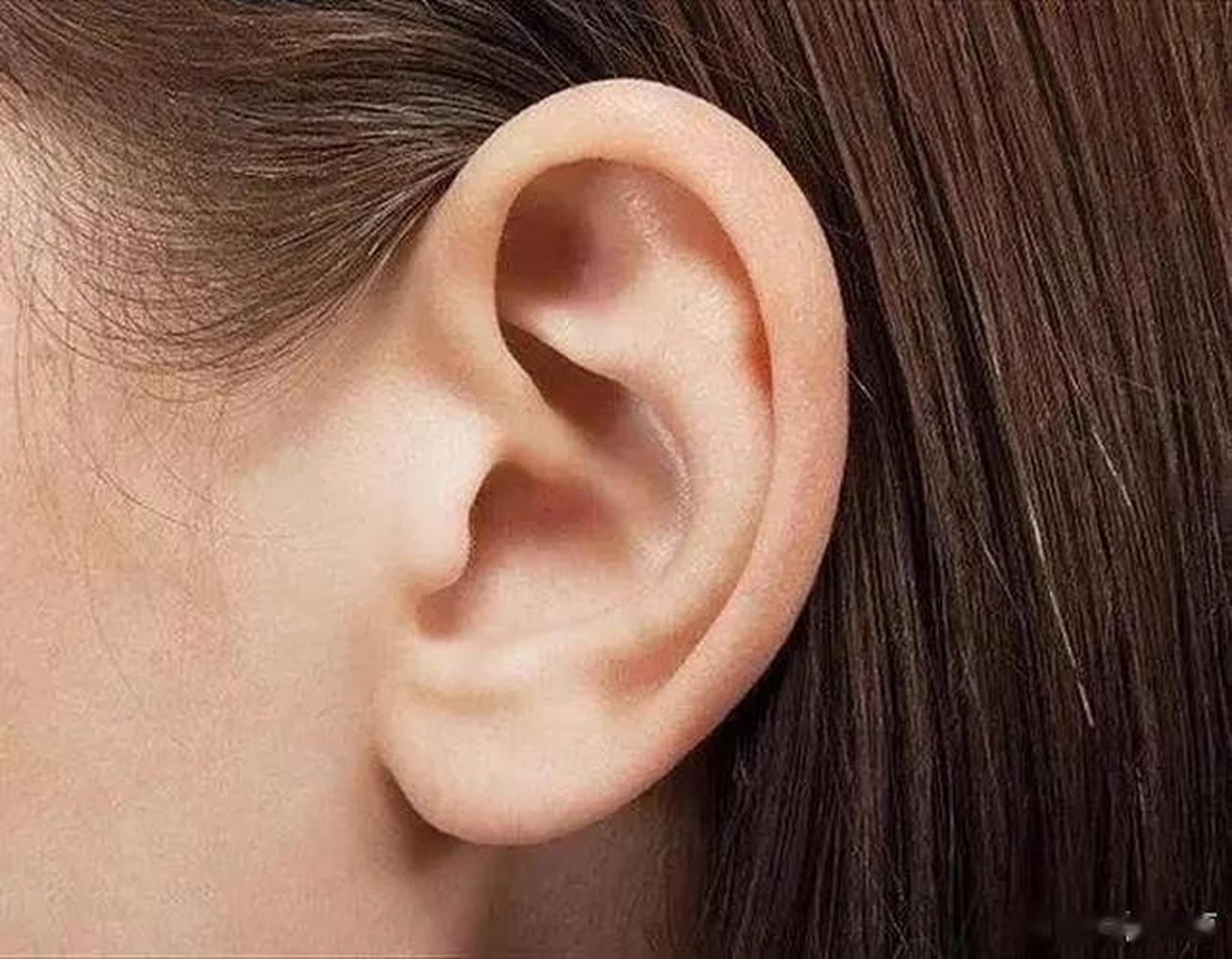 耳朵肉薄之人,不聚财:耳朵 肉薄之人轻易有神经过敏的倾向,缺乏自信.