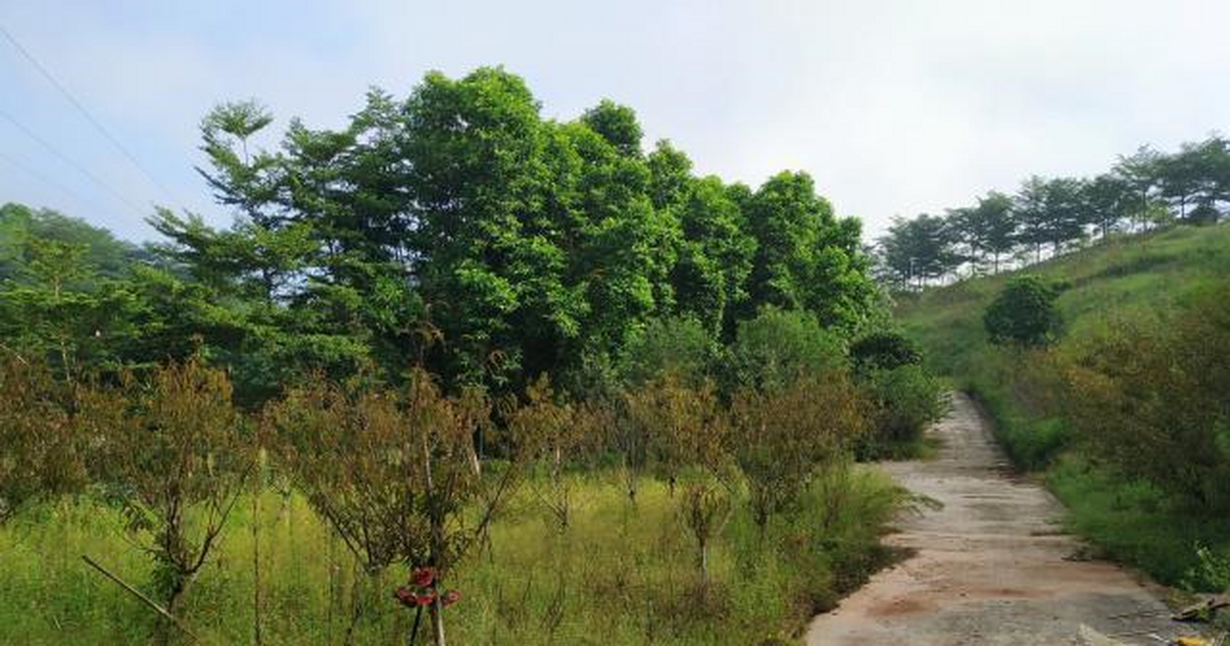 乡村景点:广东罗定花仙谷,又一座荒废"乐园"