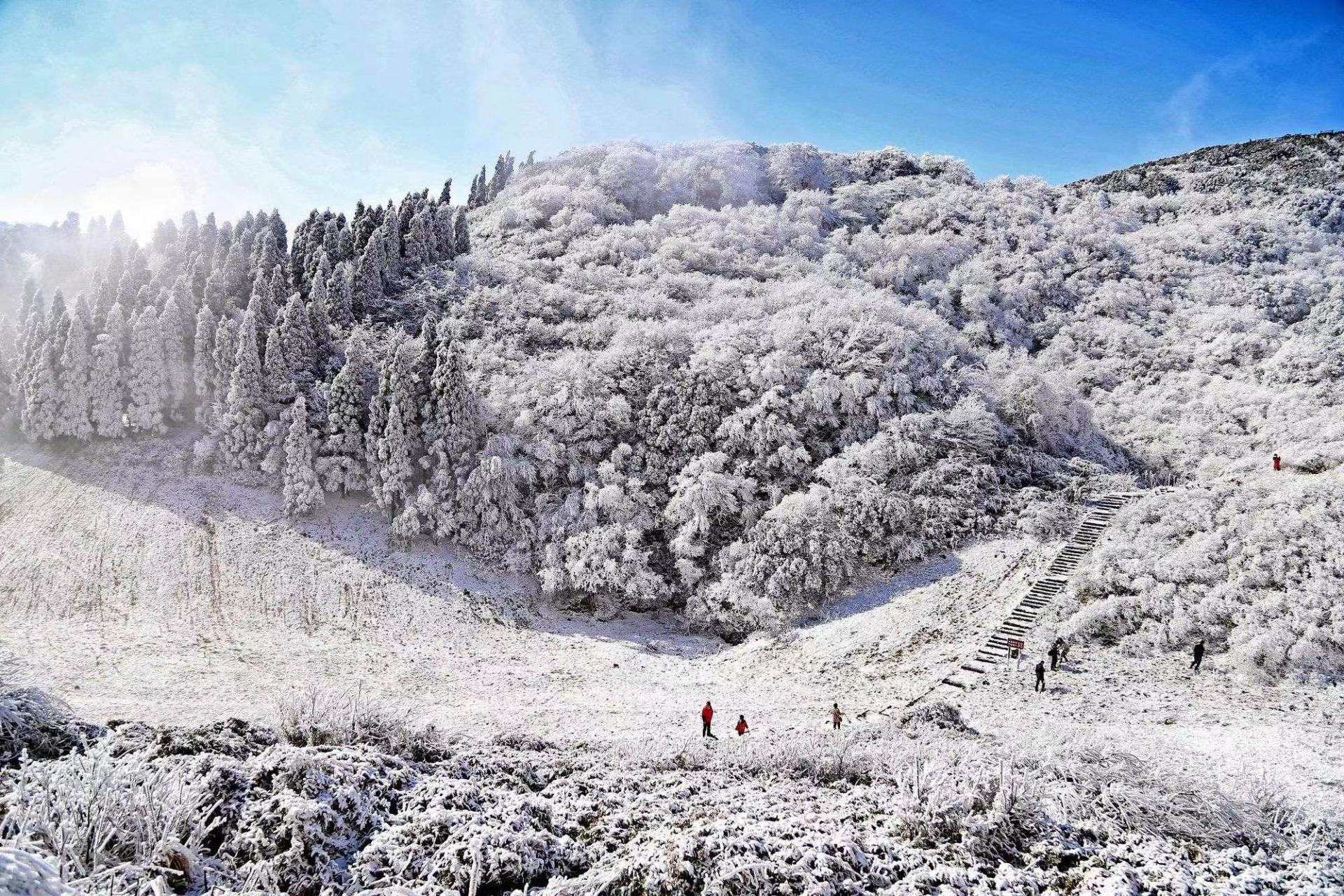 重庆金佛山下雪图片