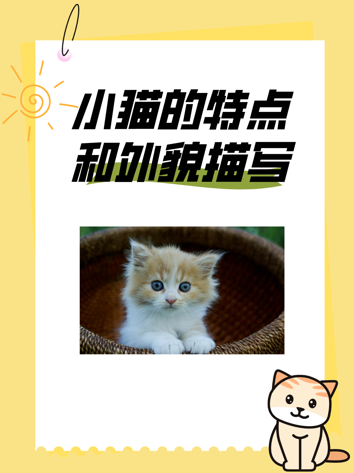 小猫的特点和外貌描写: 1,体形:一般较小巧灵活,头部相对较大,四肢短