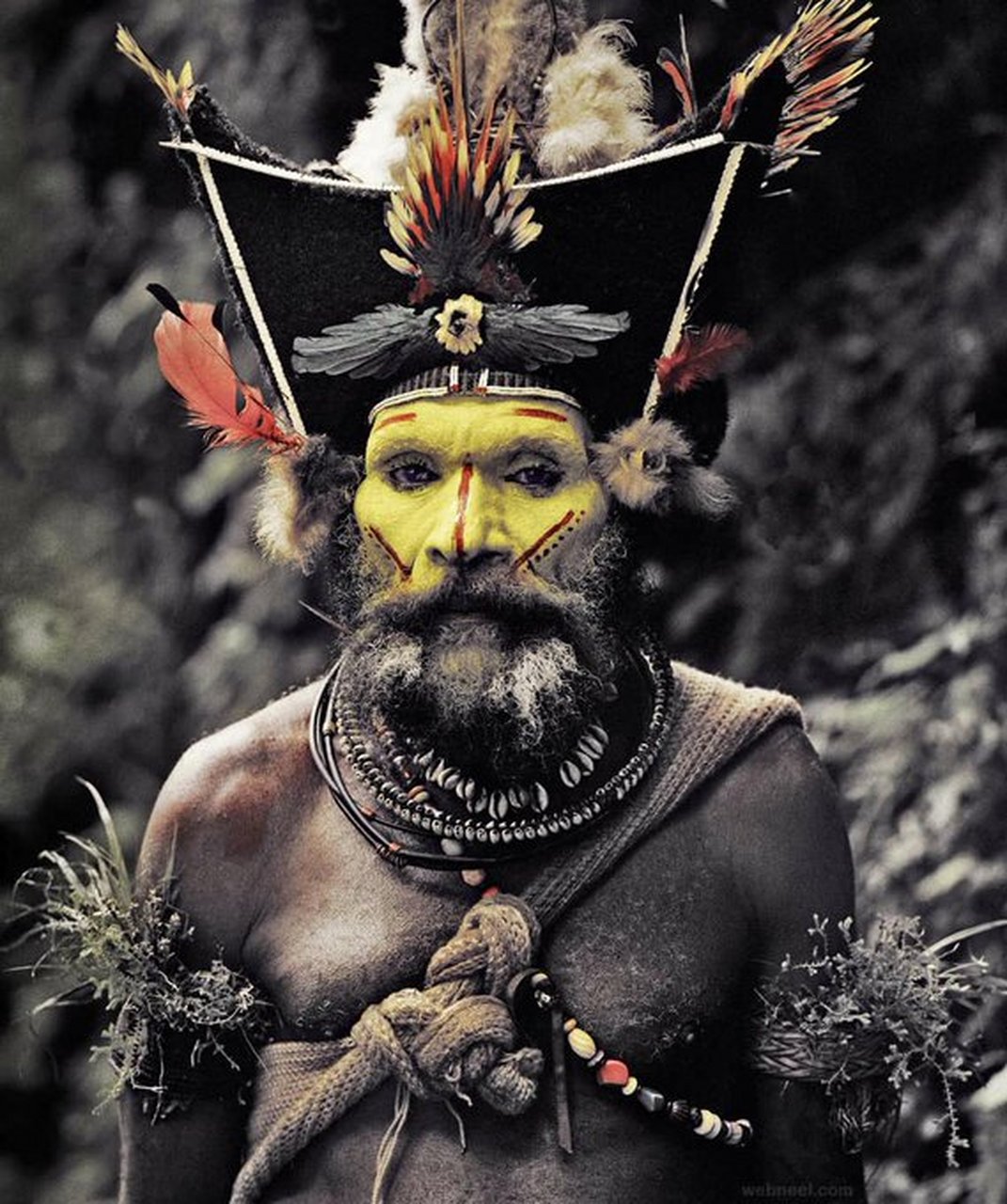 胡里人是生活在巴布亚新几内亚南部高地的土著民族