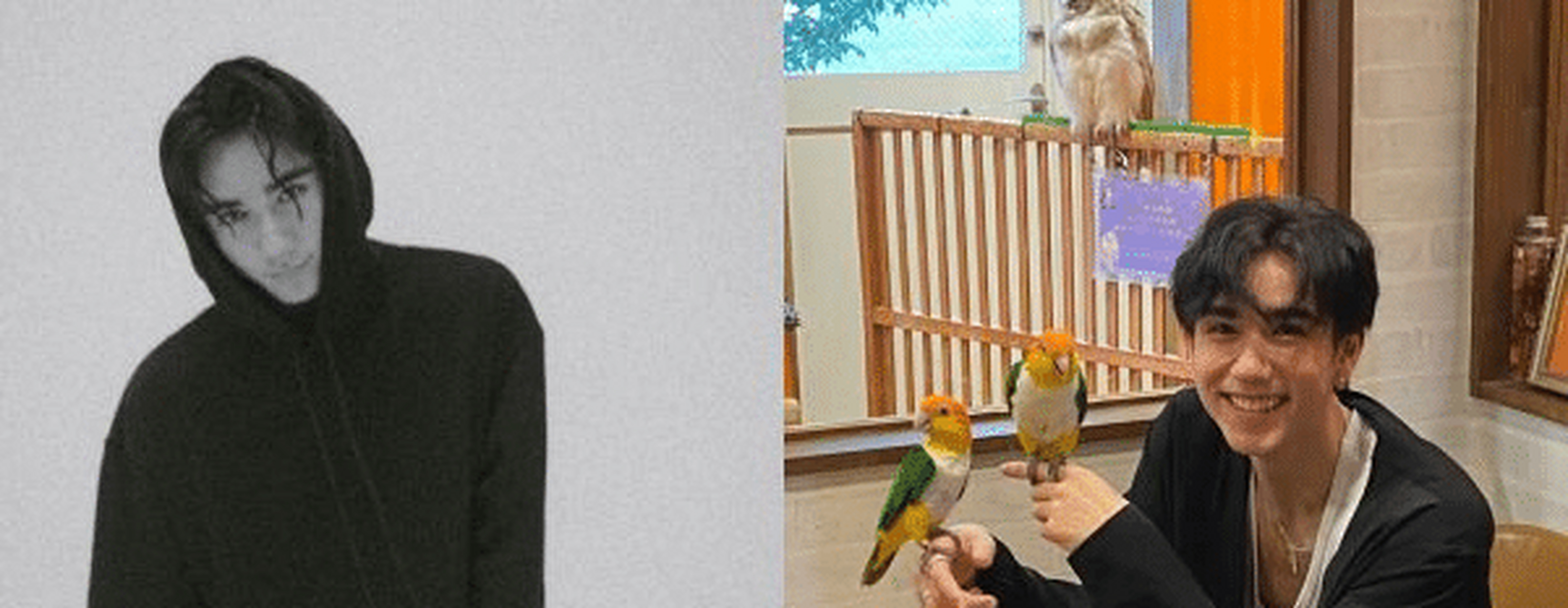 22岁男偶像和马(kazuma mitchell)是日美混血偶像男团intersection