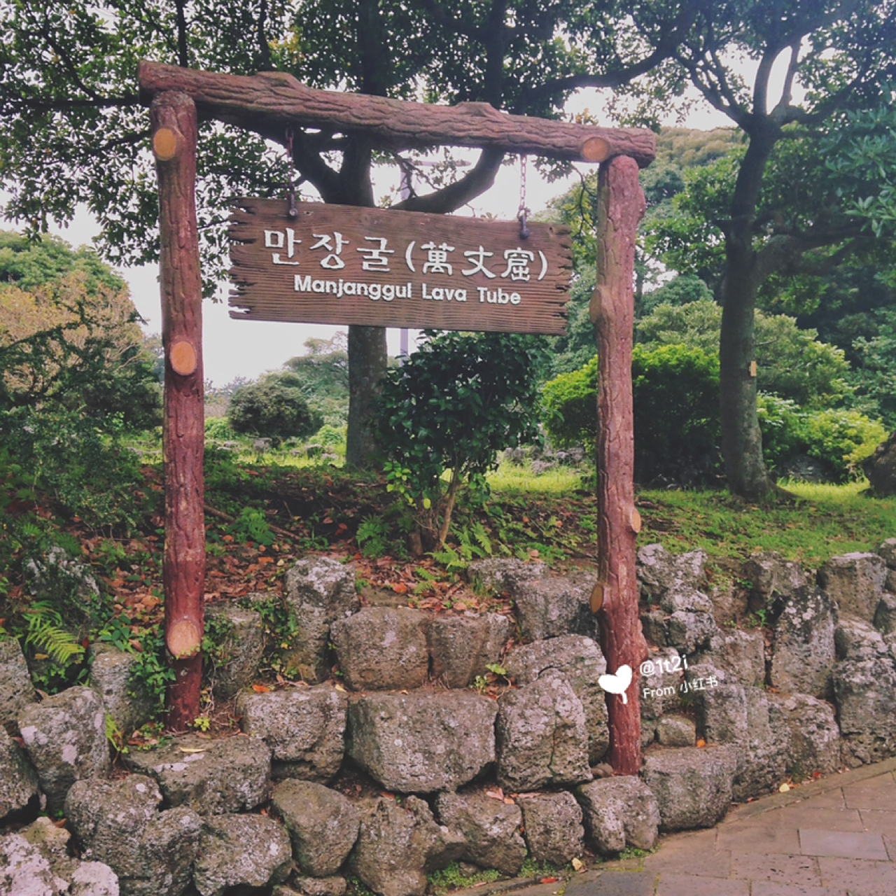 济州岛 名字: 万丈窟 地址:    182 时间:9:00-18:00(每月第一个周三