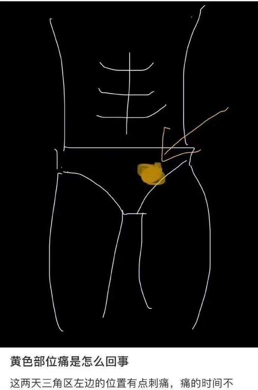 虽然痛但也是个讲究人