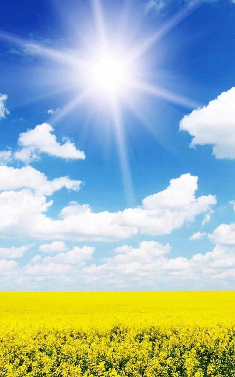 "我:爸爸,我错了,我应