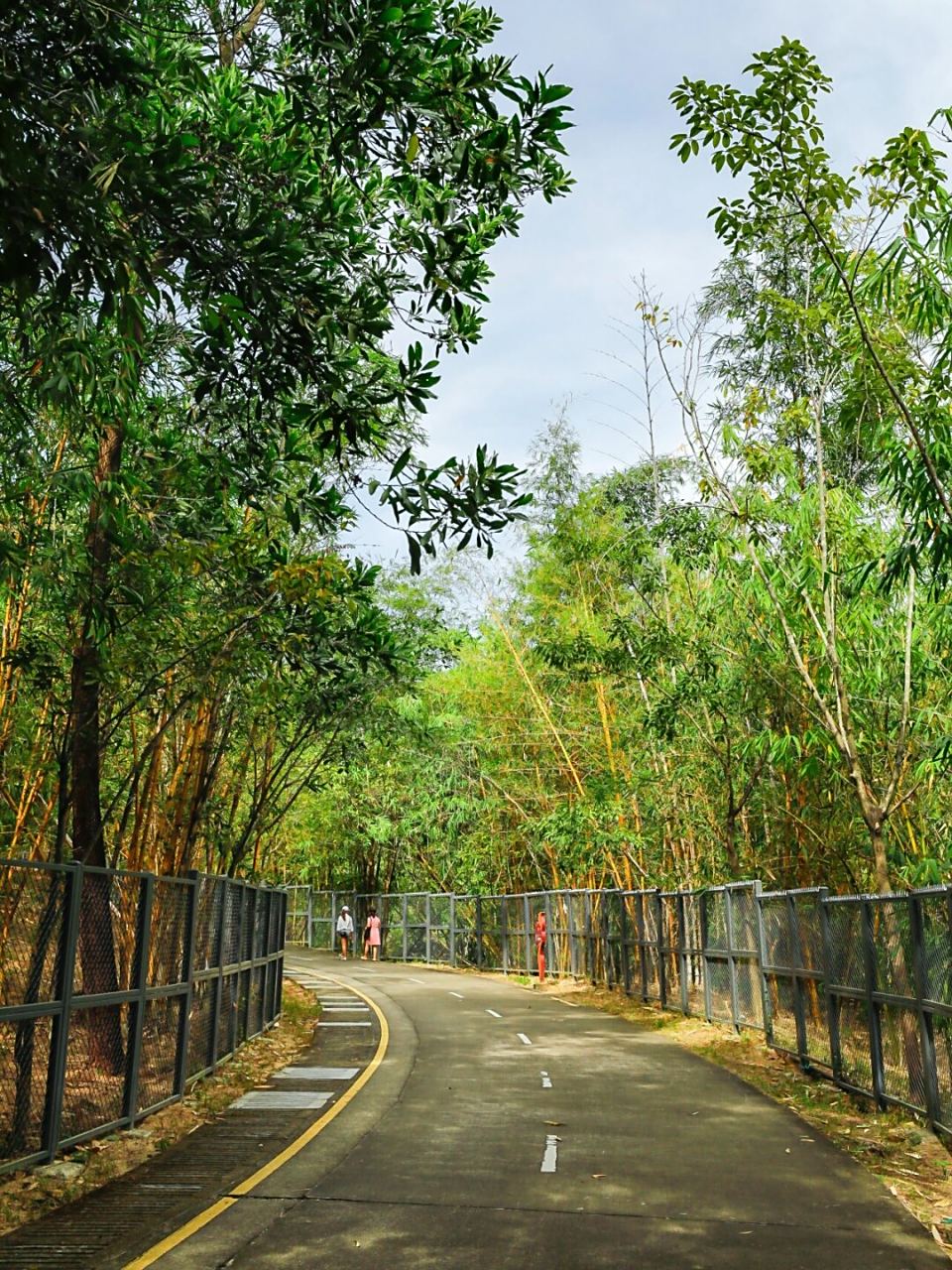 深圳最舒服的绿道  龙华环城绿道的大浪-福城段,我曾在今年5月份首次