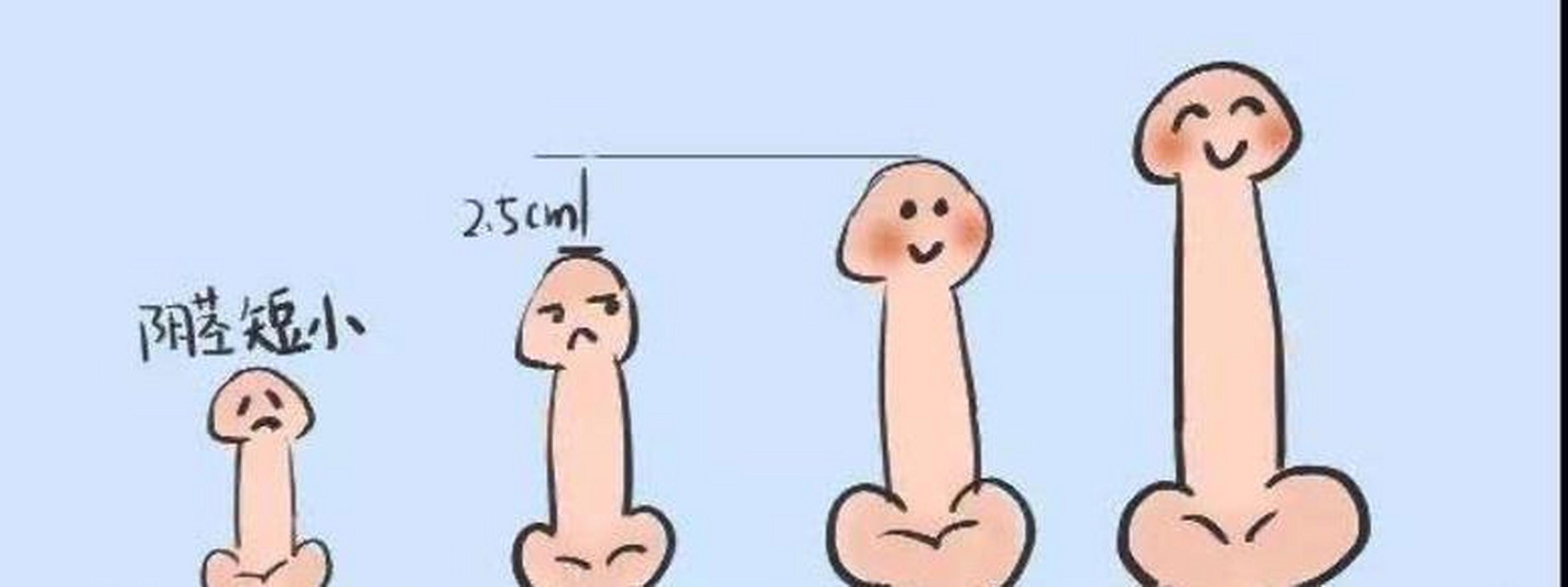 那么男人阴茎短小到什么程度需要去医院呢?