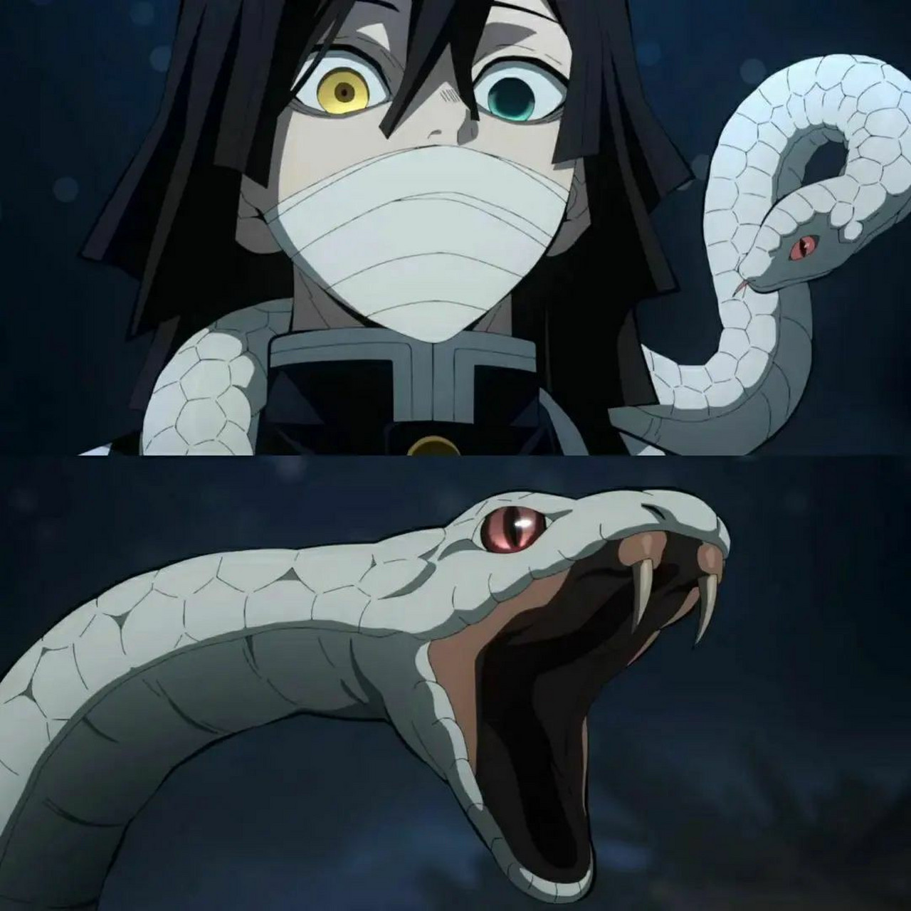 鬼灭之刃# 蛇柱和大蛇丸