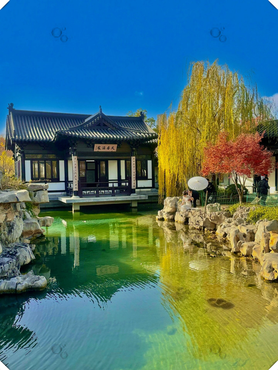 郑州的"小江南"-苏园  78一座隐蔽在郑州市区的mini版"苏式园林"
