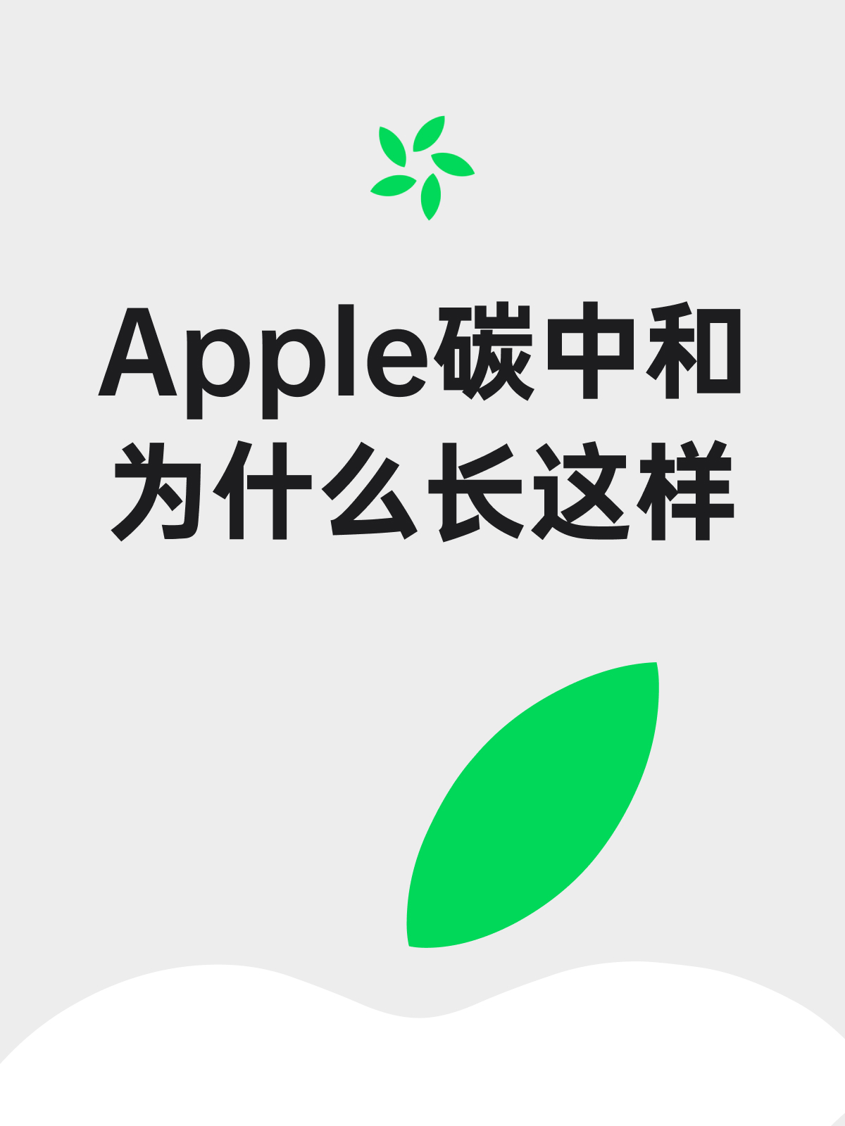 本文引用:apple 推出首批碳中和系列产品丨 apple