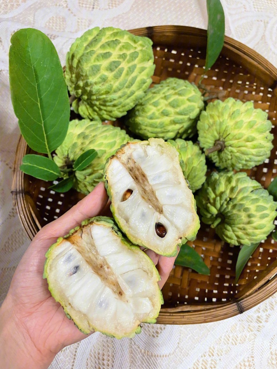 释迦果属番荔枝科,番荔枝属落叶小乔木,外面被白色粉霜,具有健脑,明目