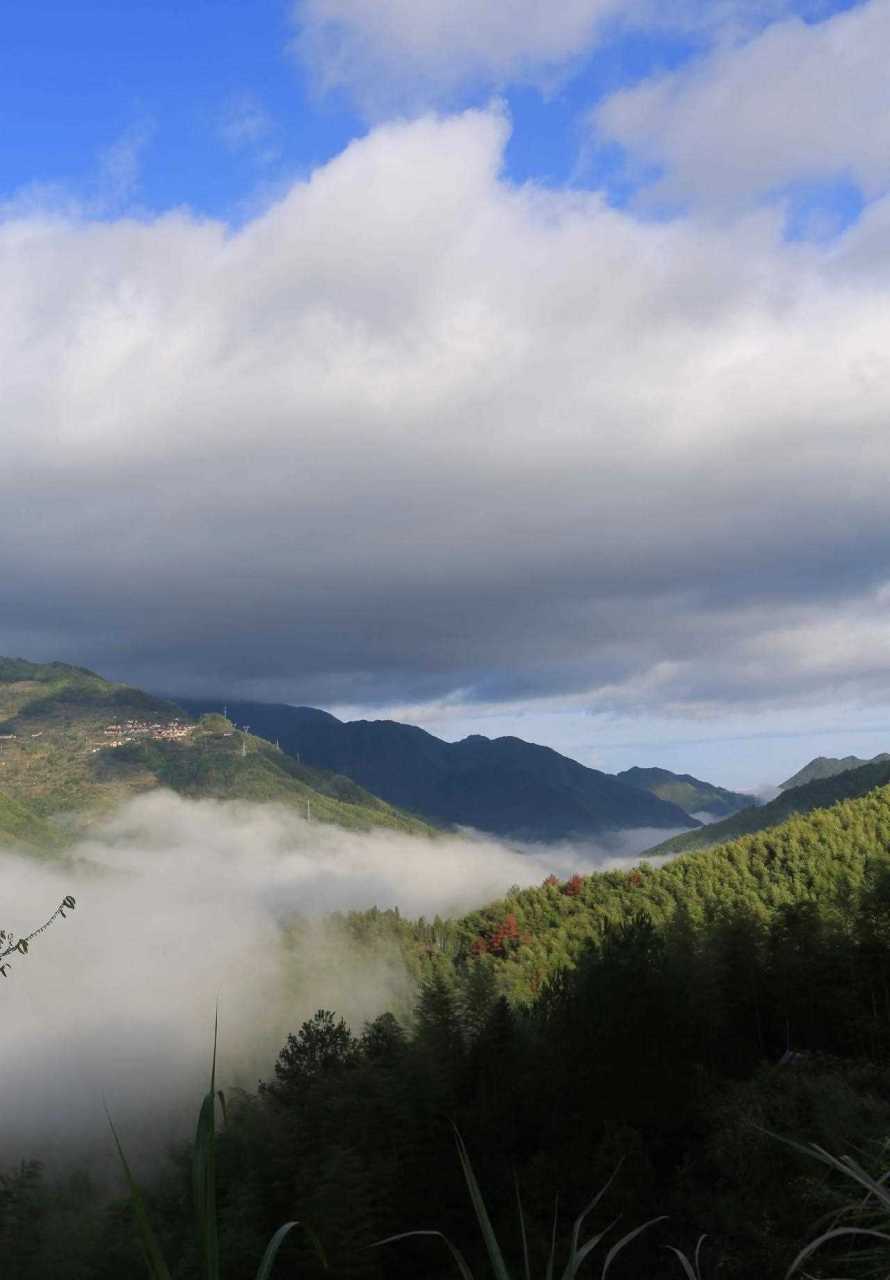 腾蛟镇岱山村图片