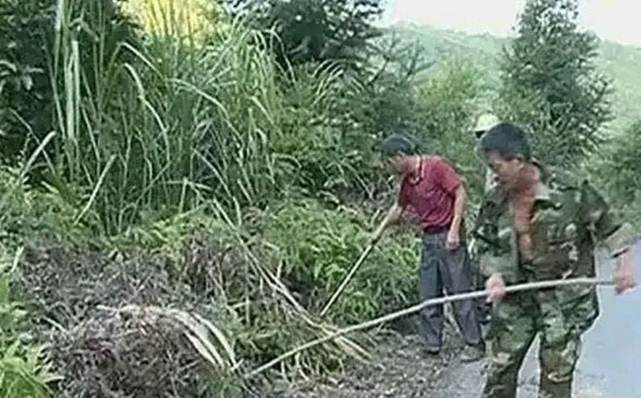 捕蛇能手程地明因为心情不好,直接打死了一条红脖