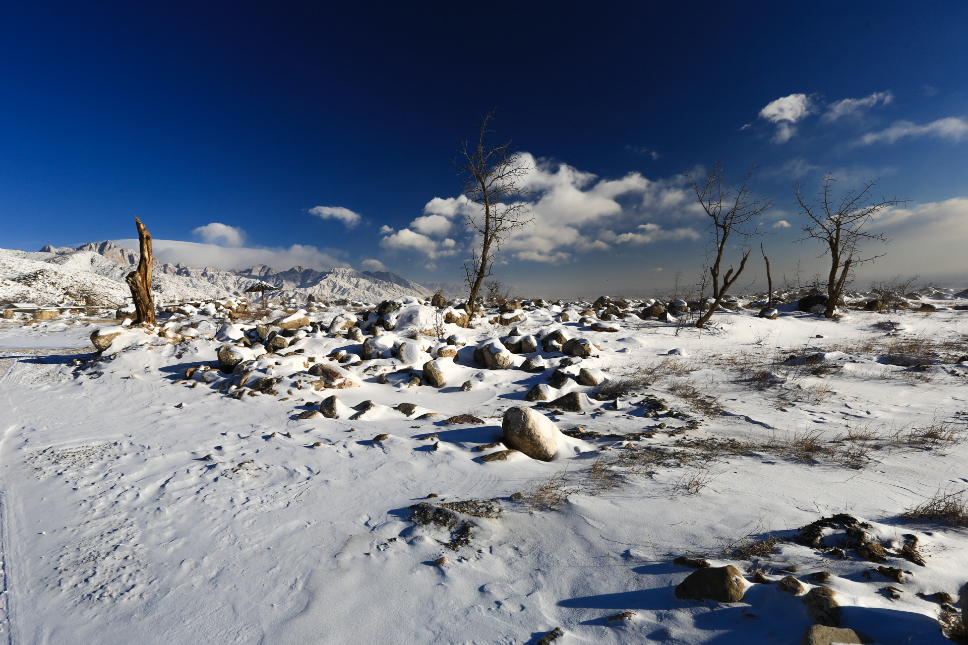 银川贺兰山雪景图片