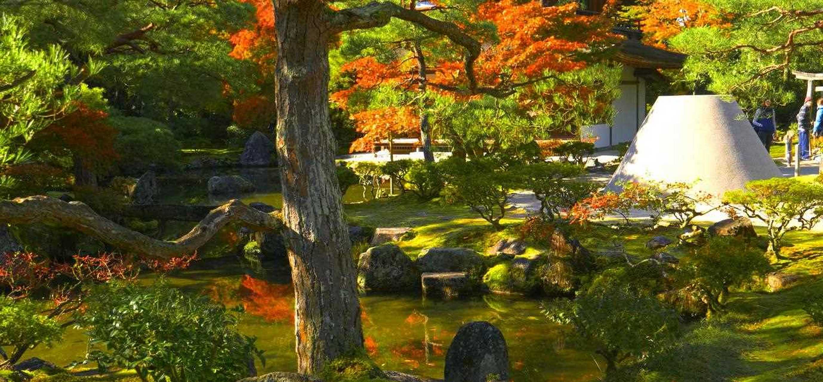 优美的枯山水庭院银阁寺!