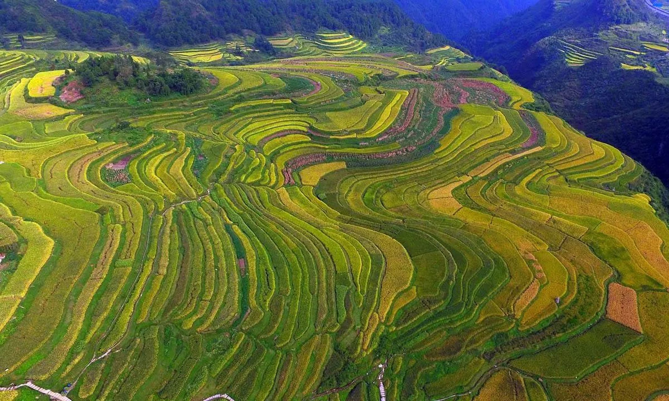 夏日动态挑战赛#高坎梯田位于四川南部宜宾筠连县,因地处崇山峻岭之