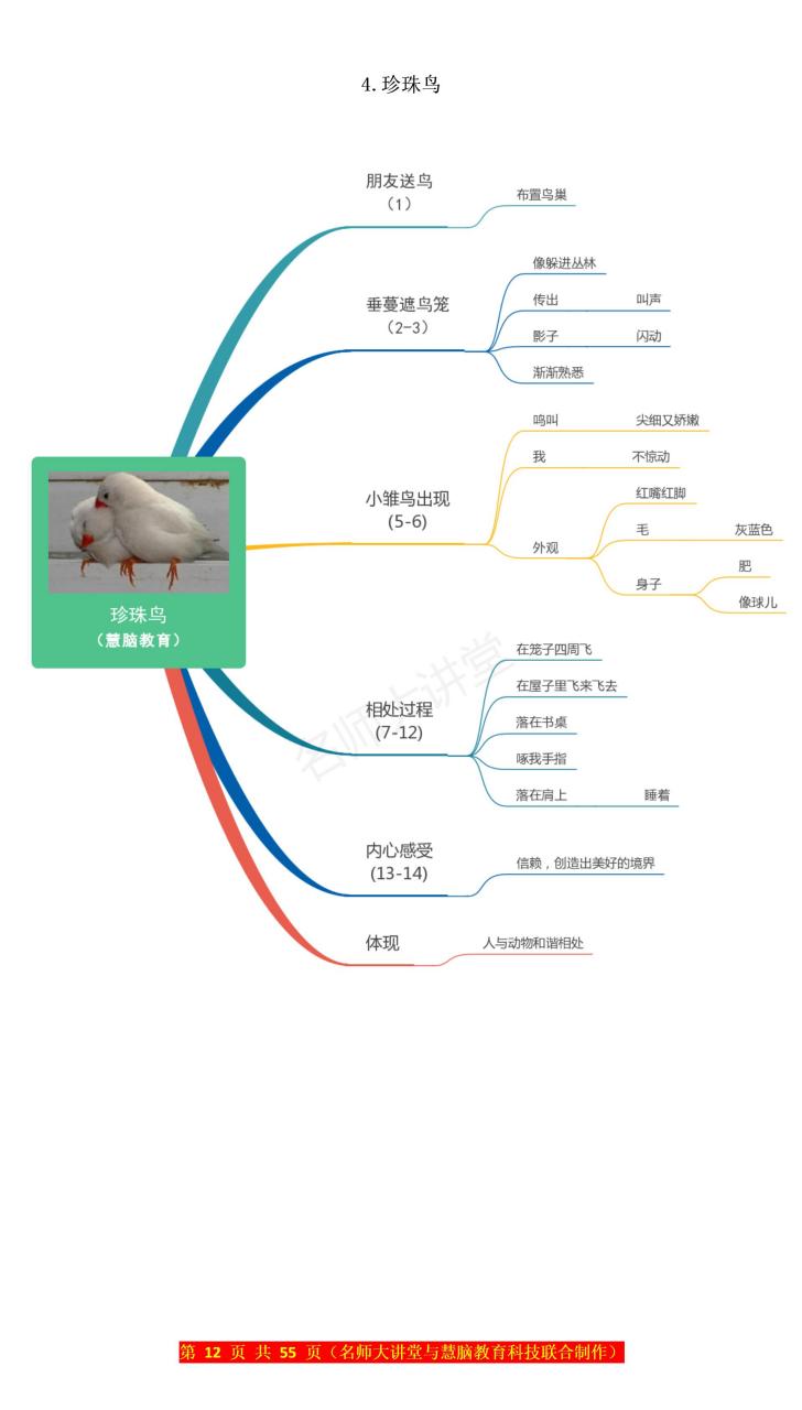 4珍珠鸟课文思维导图图片