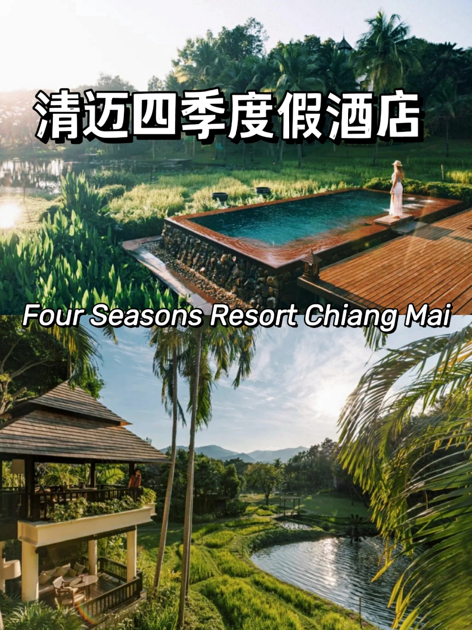 清迈四季度假酒店 清迈四季度假酒店 four seasons resort chiang mai