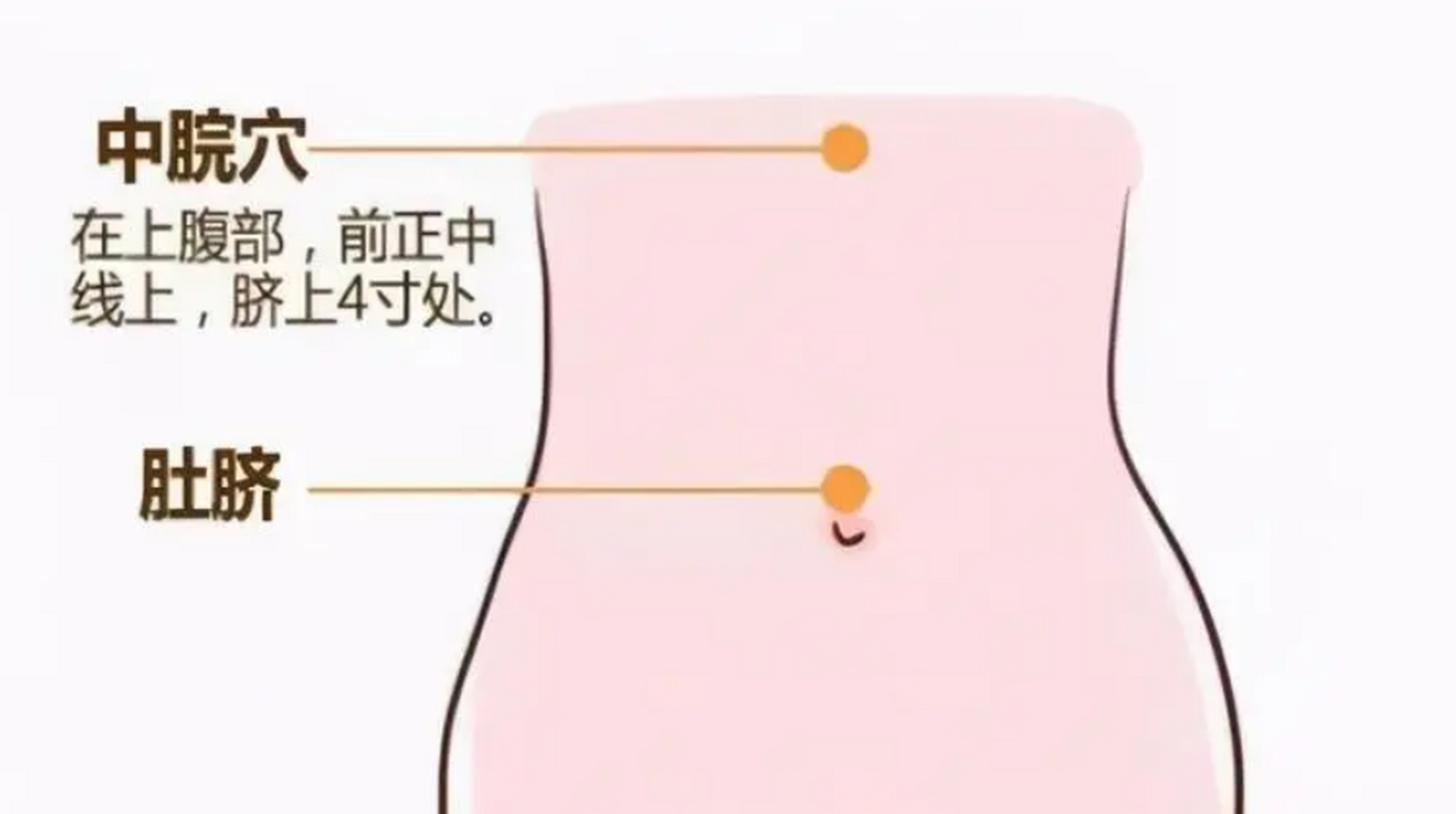 中脘穴:治疗胃病的专家 适宜症状:绝大多数的胃及十二指肠疾病,如:胃