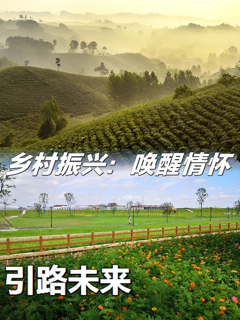 赣南大地 的希望 乡村振兴相关图片4