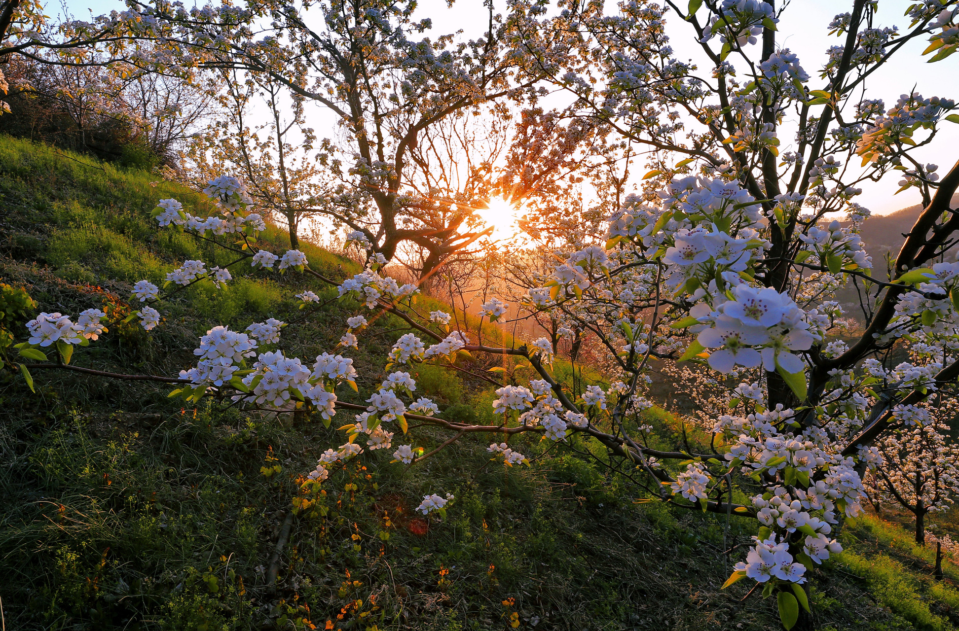 杠杠滴# #网红打卡地辽宁杠杠滴# #美好辽宁欢迎您#【抚顺县美景】