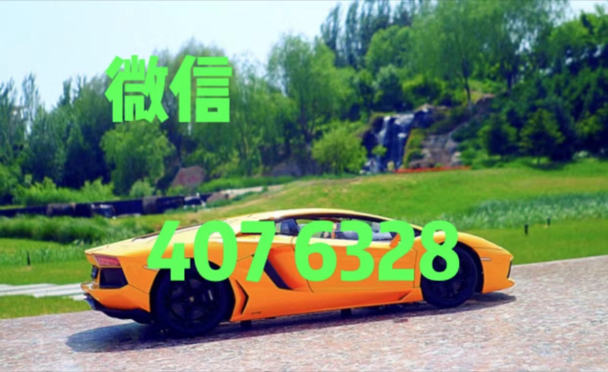 《正版星力十代》|qk版本