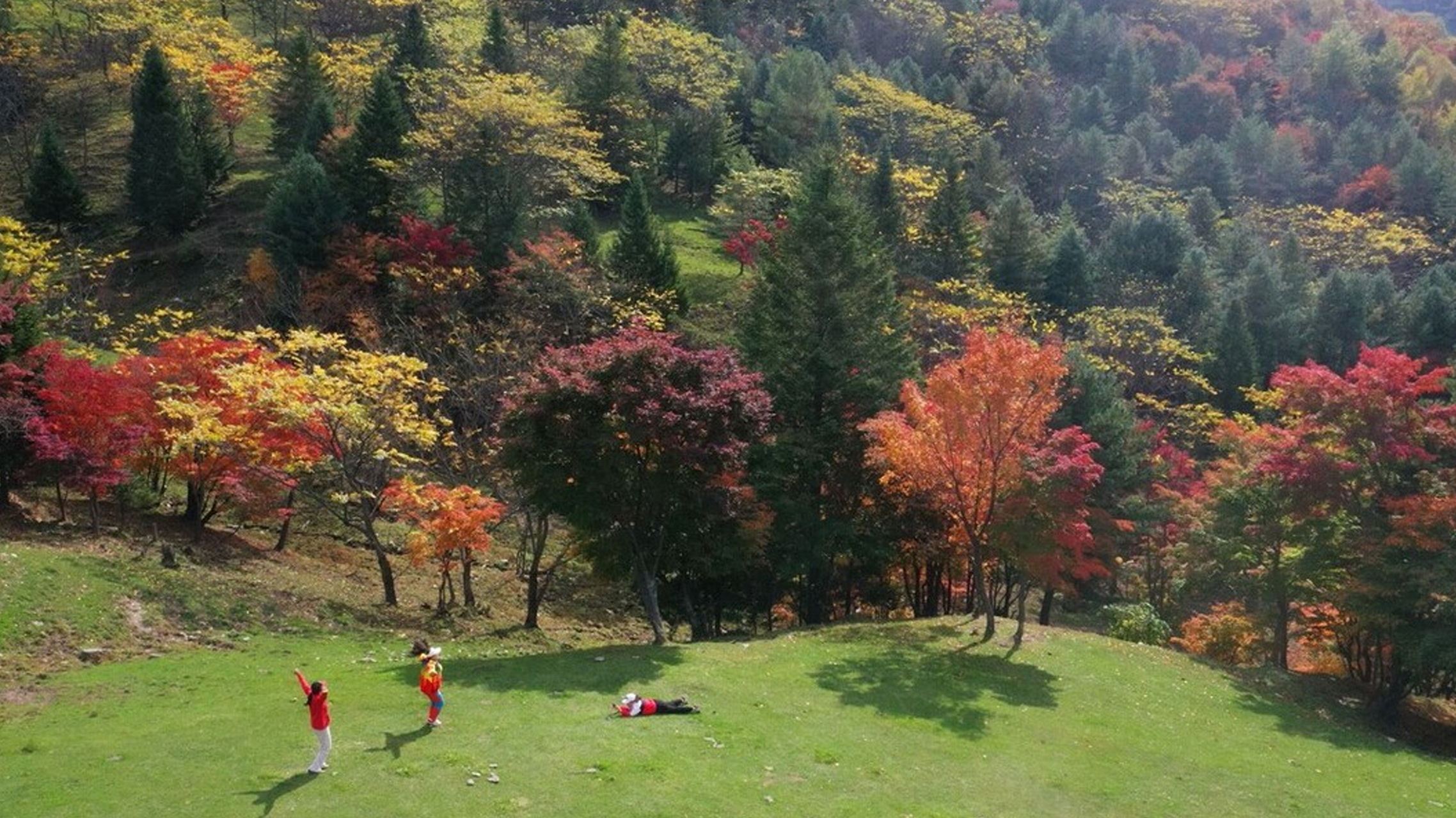金秋十月,吉林临江溪谷景区五彩斑斓,大地层林尽染,在白山松水间,勾勒