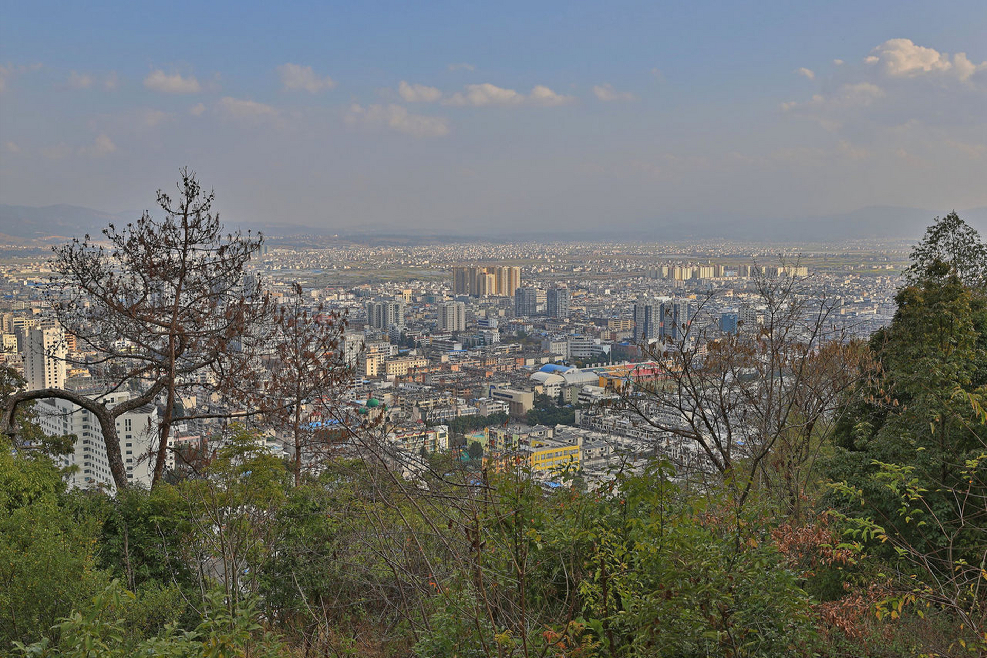 云南太保山森林公园,公园以自然山体森林为主要景色,面积达到了100