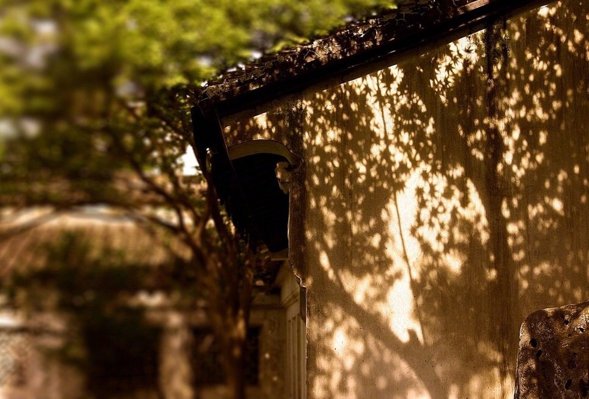 "窗竹影摇书案上,野泉声入砚池中." #禅意古风