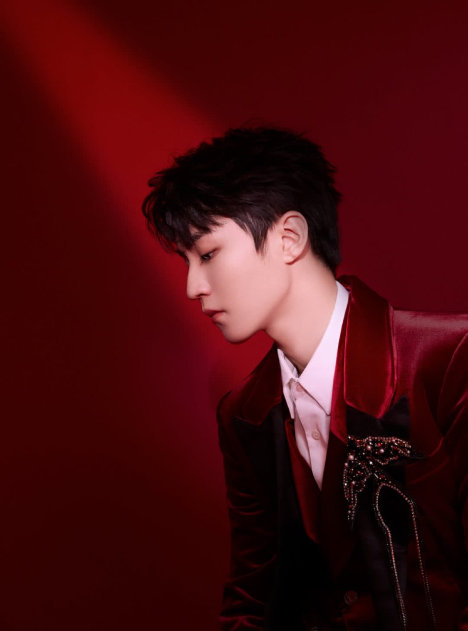 王俊凯一身央视春晚造型,身穿红色丝绒西装,佩戴燕子钻石胸针.