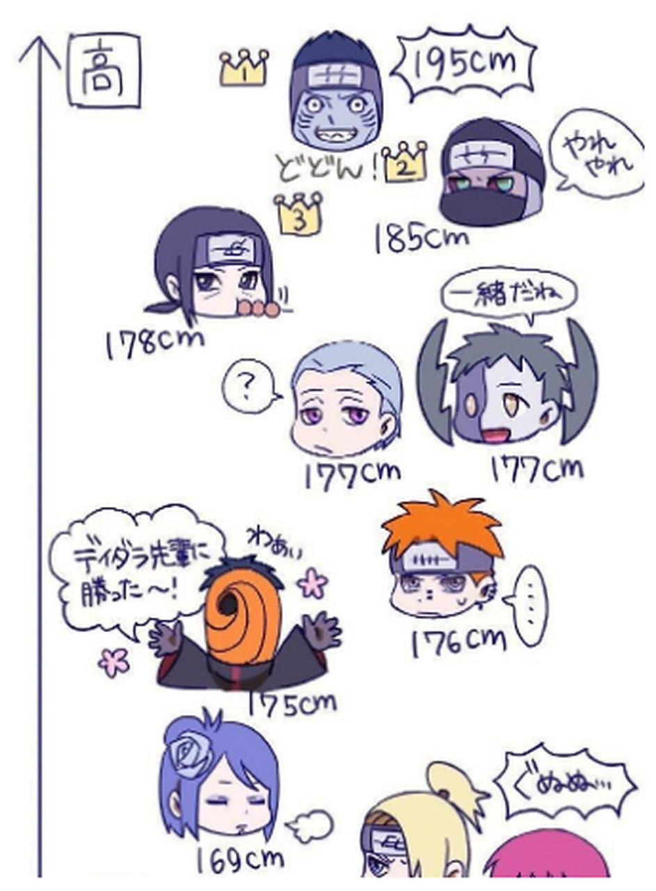 晓组织成员们的身高